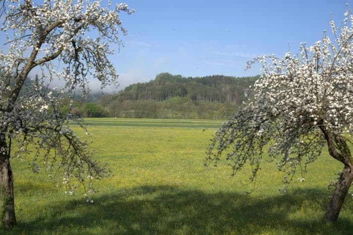 Natur in Sulzbach an der Murr, L-mobile Marathonstrecke