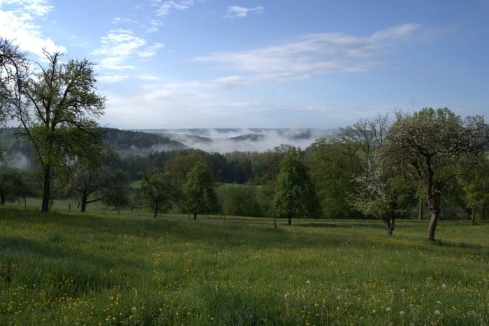 Natur in Sulzbach an der Murr, L-mobile Marathonstrecke
