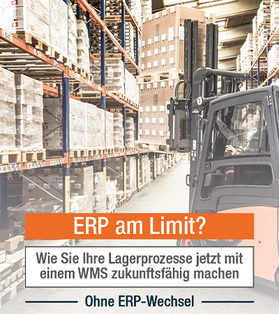 Whitepaper: Lager zukunftsfähig machen mit WMS